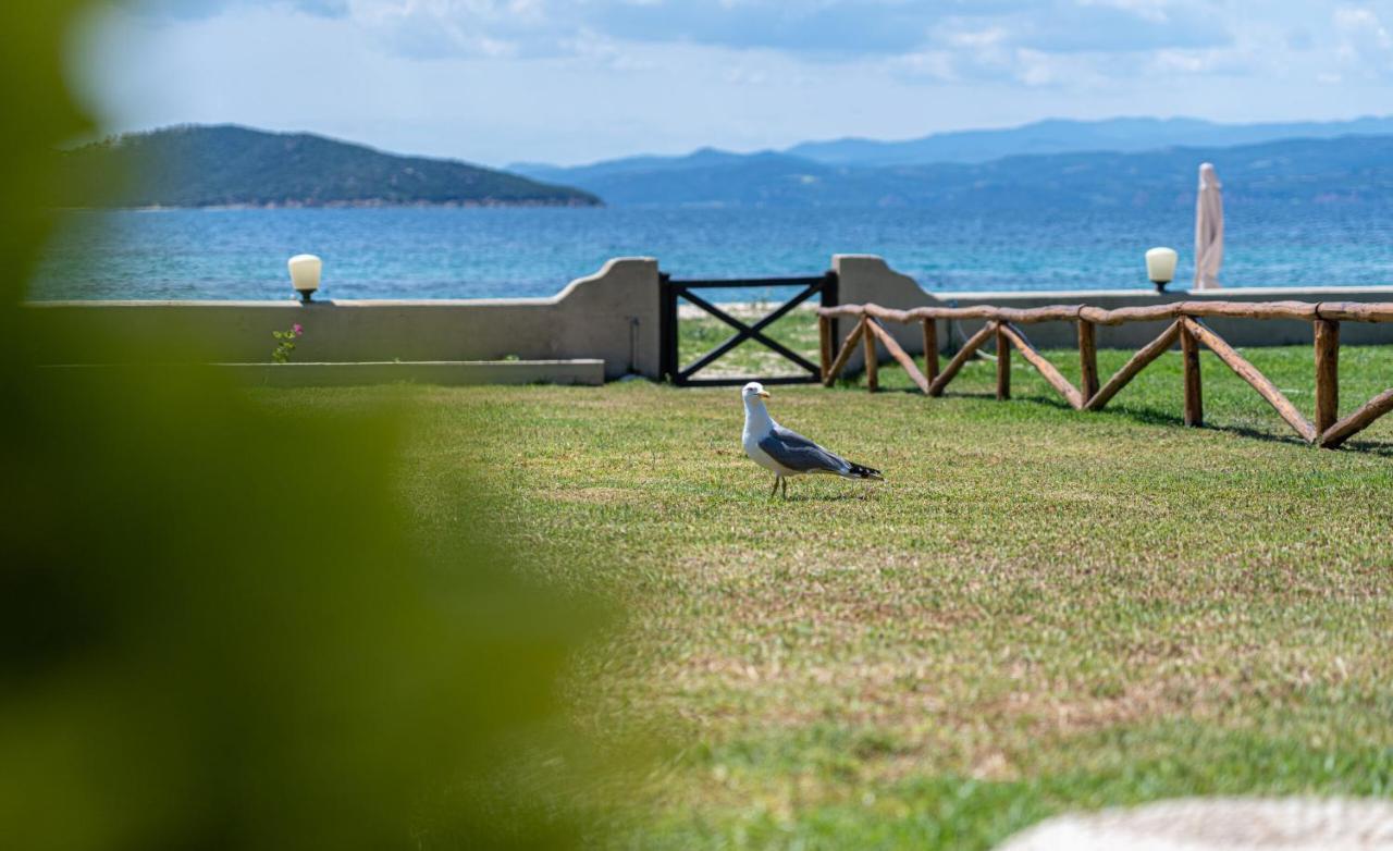 Alemar Estates Ouranoupolis Βίλα Εξωτερικό φωτογραφία